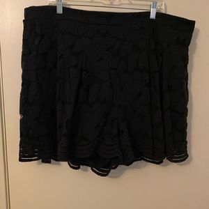 Torrid Shorts